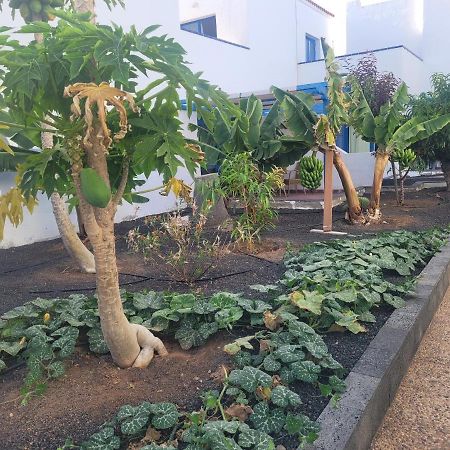 Nenita Apartment Калета де Фусте Екстериор снимка